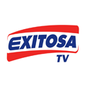 Logo Exitosa